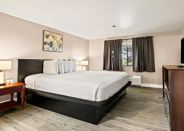 Best Western Plus Orchid Hotel & Suites